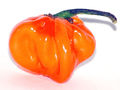 Papryka habanero. Fot. André Karwath aka Aka, źródło: http://pl.wikipedia.org/wiki/Papryka_habanero#mediaviewer/File:Habanero.jpg, dostęp: 29.11.2014